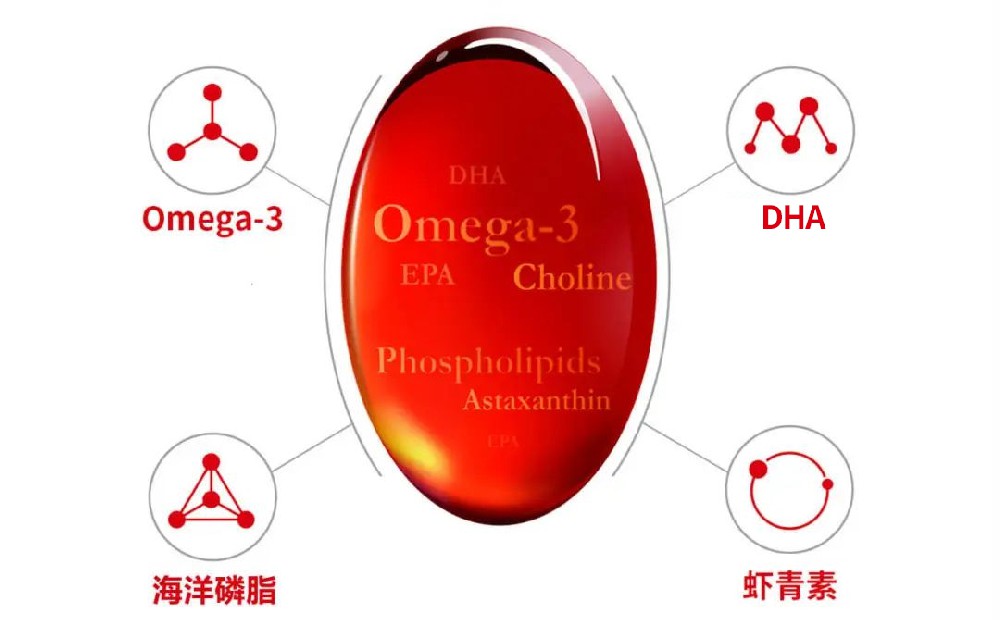 南极磷虾油，来自南极的营养“红宝石”，到底有哪些益处呢？