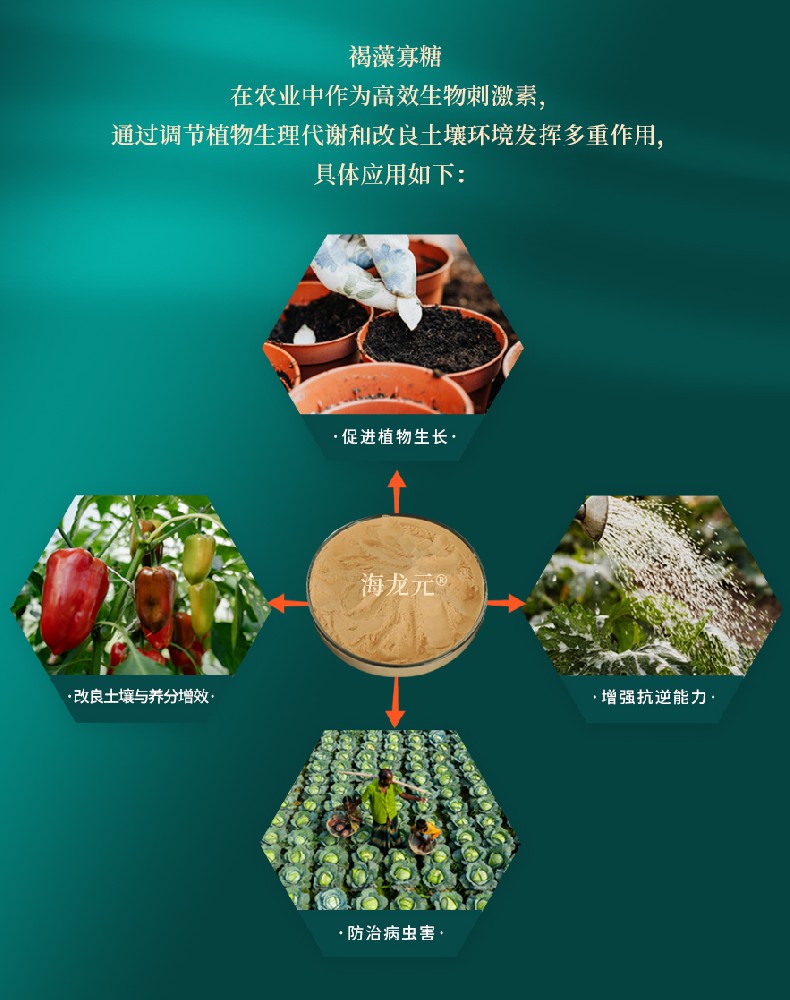 【褐藻寡糖】在农业方面的功效与作用是什么？