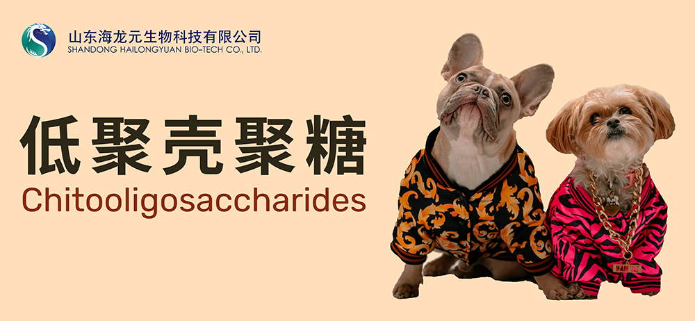 低聚壳聚糖：呵护宠物健康